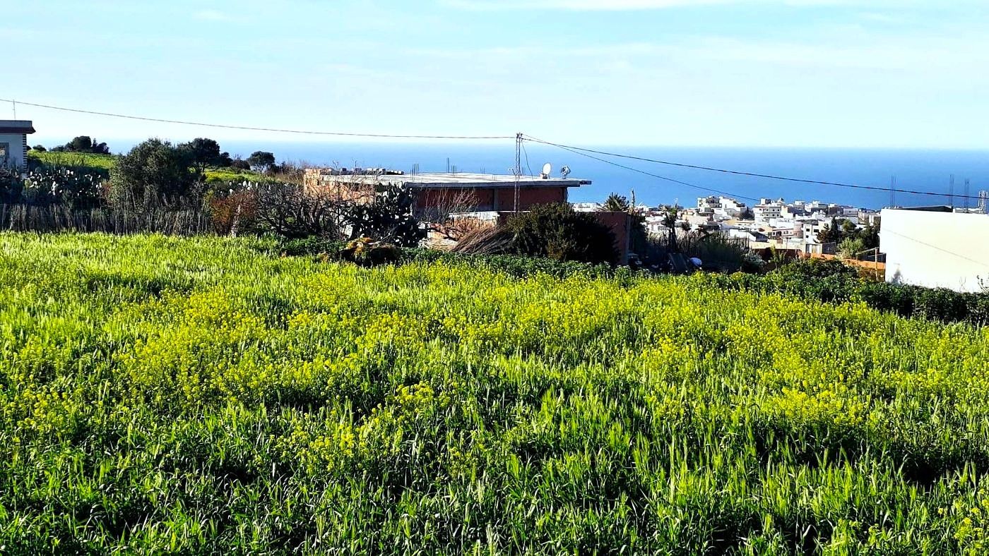 Ras Jebel&nbsp;Rafraf&nbsp;Terrain&nbsp;Terrain nu&nbsp;Terrain 1500 m2 a rafraf