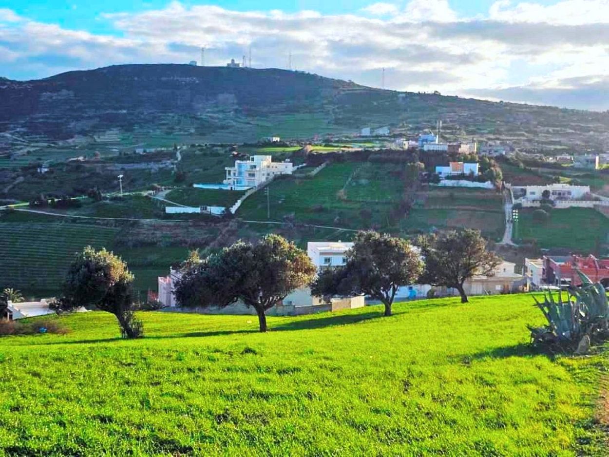 Terrain&nbsp;Terrain nu