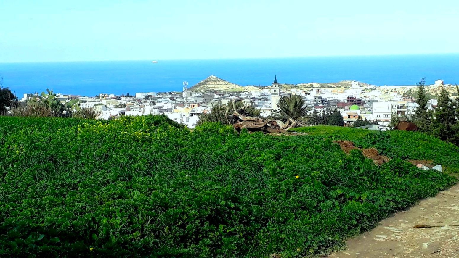 Terrain&nbsp;Terrain nu