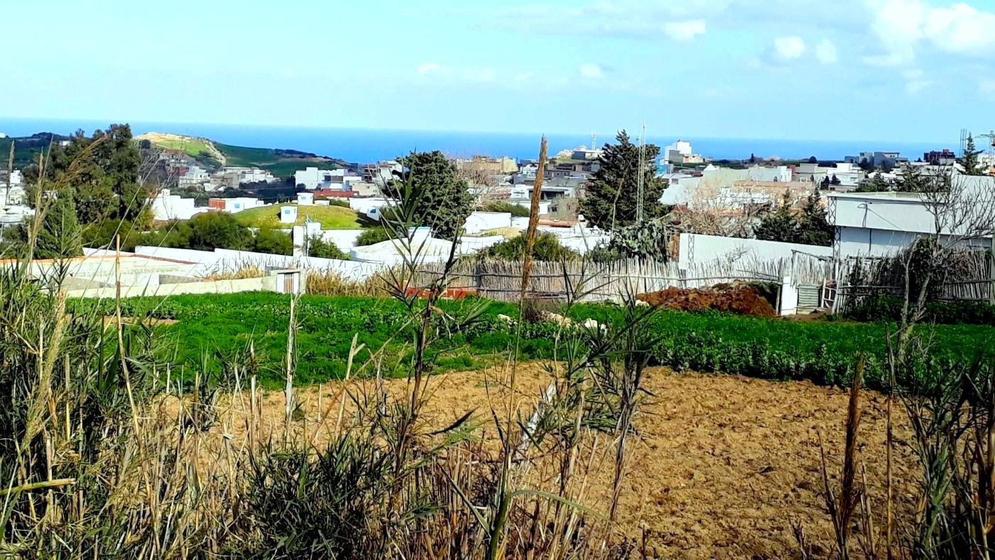 Ras Jebel&nbsp;Rafraf&nbsp;Terrain&nbsp;Terrain nu&nbsp;Terrain 820 m2 a rafraf