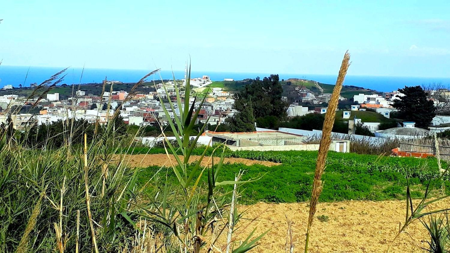 Ras Jebel&nbsp;Rafraf&nbsp;Terrain&nbsp;Terrain nu&nbsp;Terrain 820 m2 a rafraf