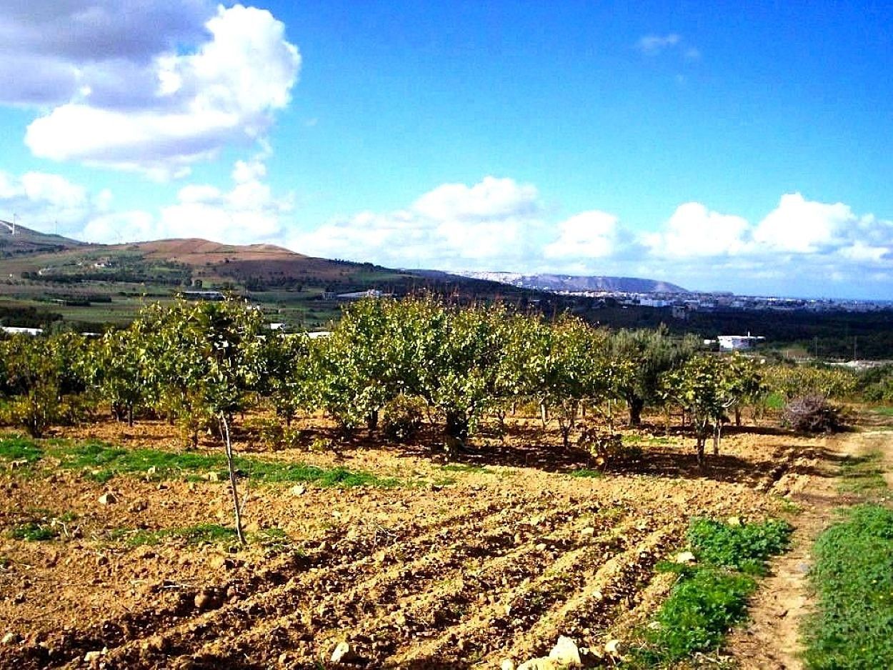 Ras Jebel&nbsp;Rafraf&nbsp;Terrain&nbsp;Terrain nu&nbsp;Terrain 530 m2 a rafraf