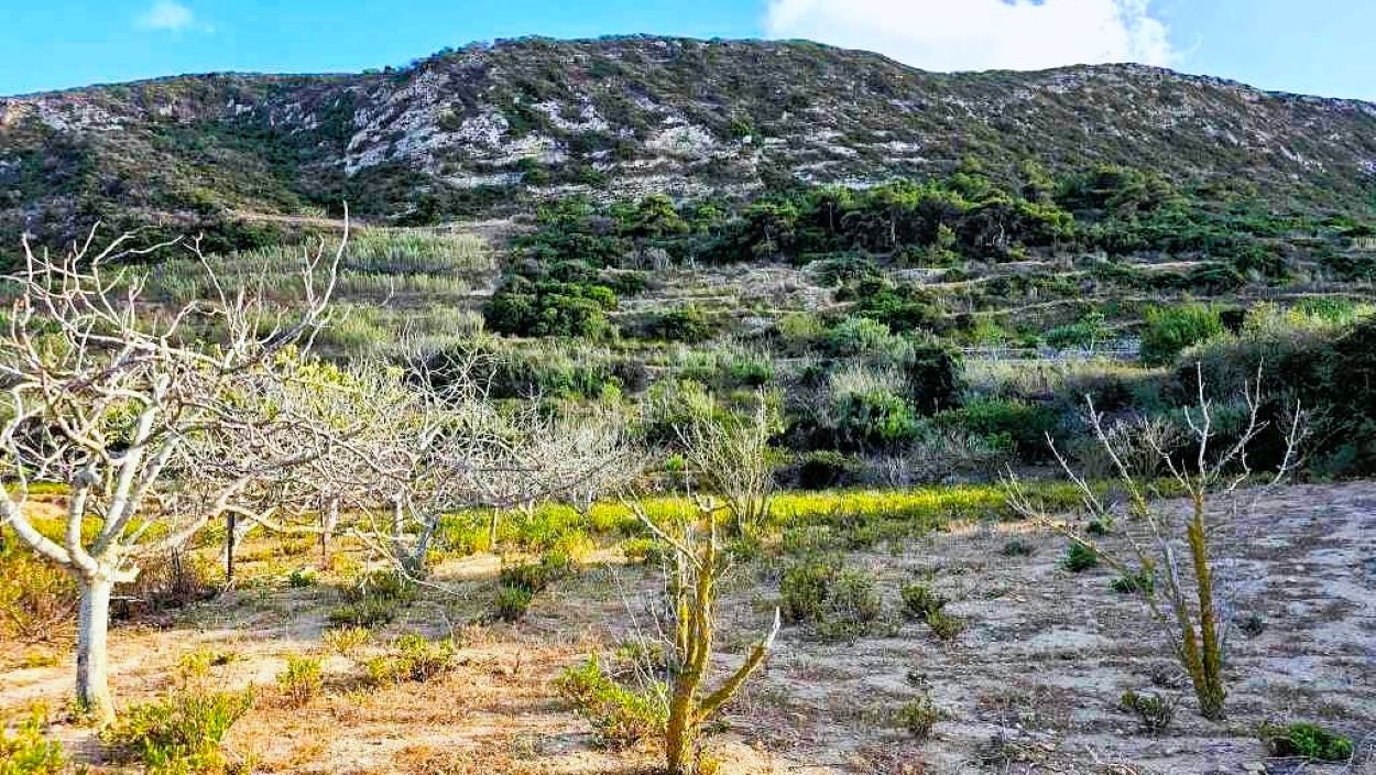 Ras Jebel&nbsp;Rafraf&nbsp;Terrain&nbsp;Terrain nu&nbsp;Terrain 2500 2 sur les hauteurs de rafraf