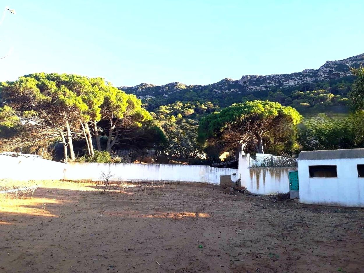 Ras Jebel&nbsp;Rafraf Plage&nbsp;Terrain&nbsp;Terrain nu&nbsp;Terrain 1000m2 a rafraf plage lahmer