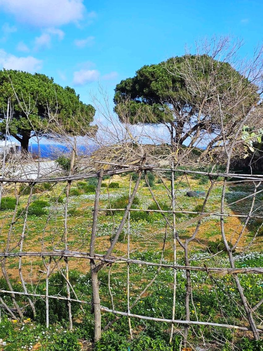 Ras Jebel&nbsp;Rafraf Plage&nbsp;Terrain&nbsp;Terrain nu&nbsp;Terrain 1000m2 a rafraf plage lahmer