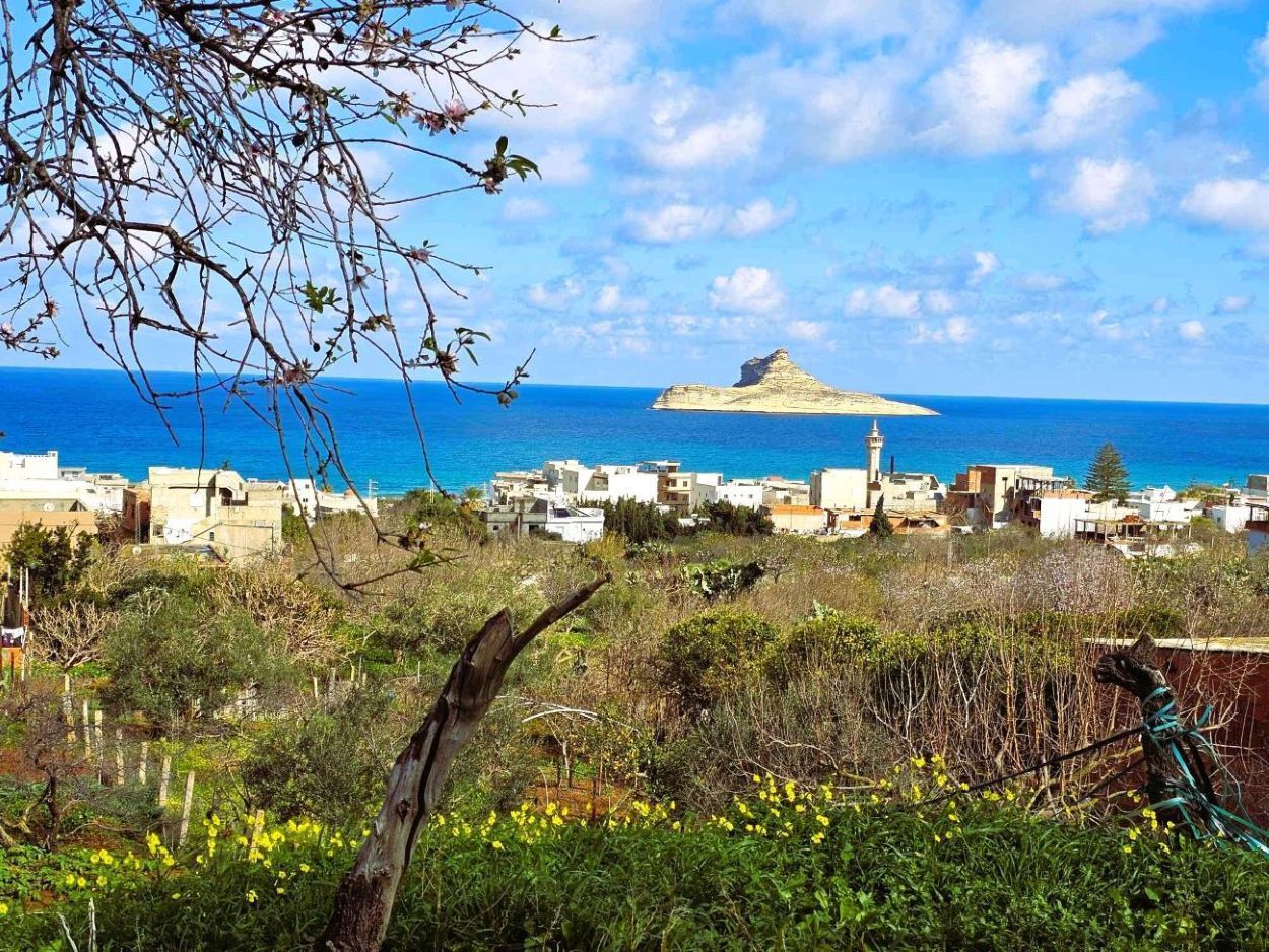 Terrain&nbsp;Terrain nu