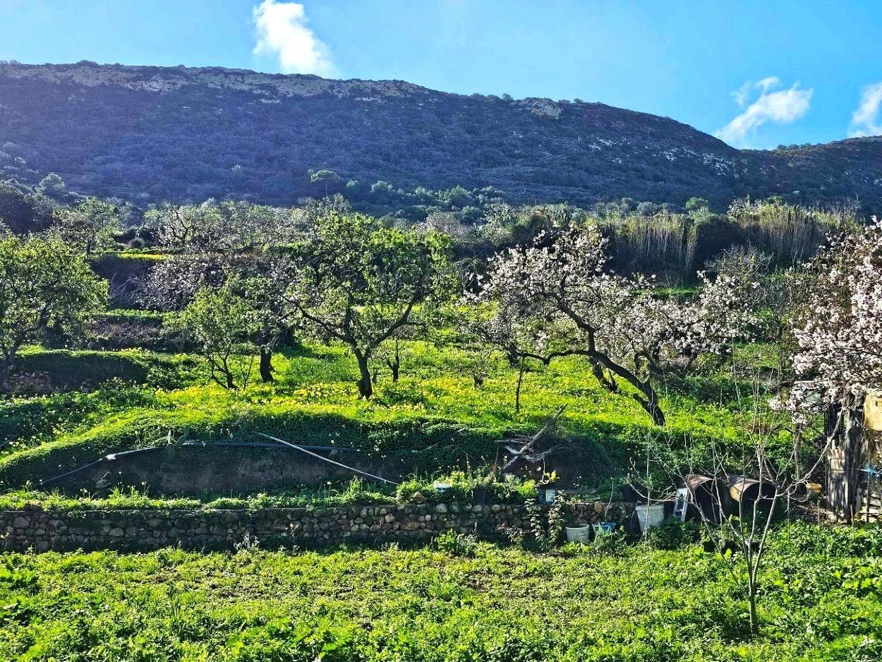 Ras Jebel&nbsp;Rafraf Plage&nbsp;Terrain&nbsp;Terrain nu&nbsp;Terrain 1060 m2 rafraf plage lahmeri