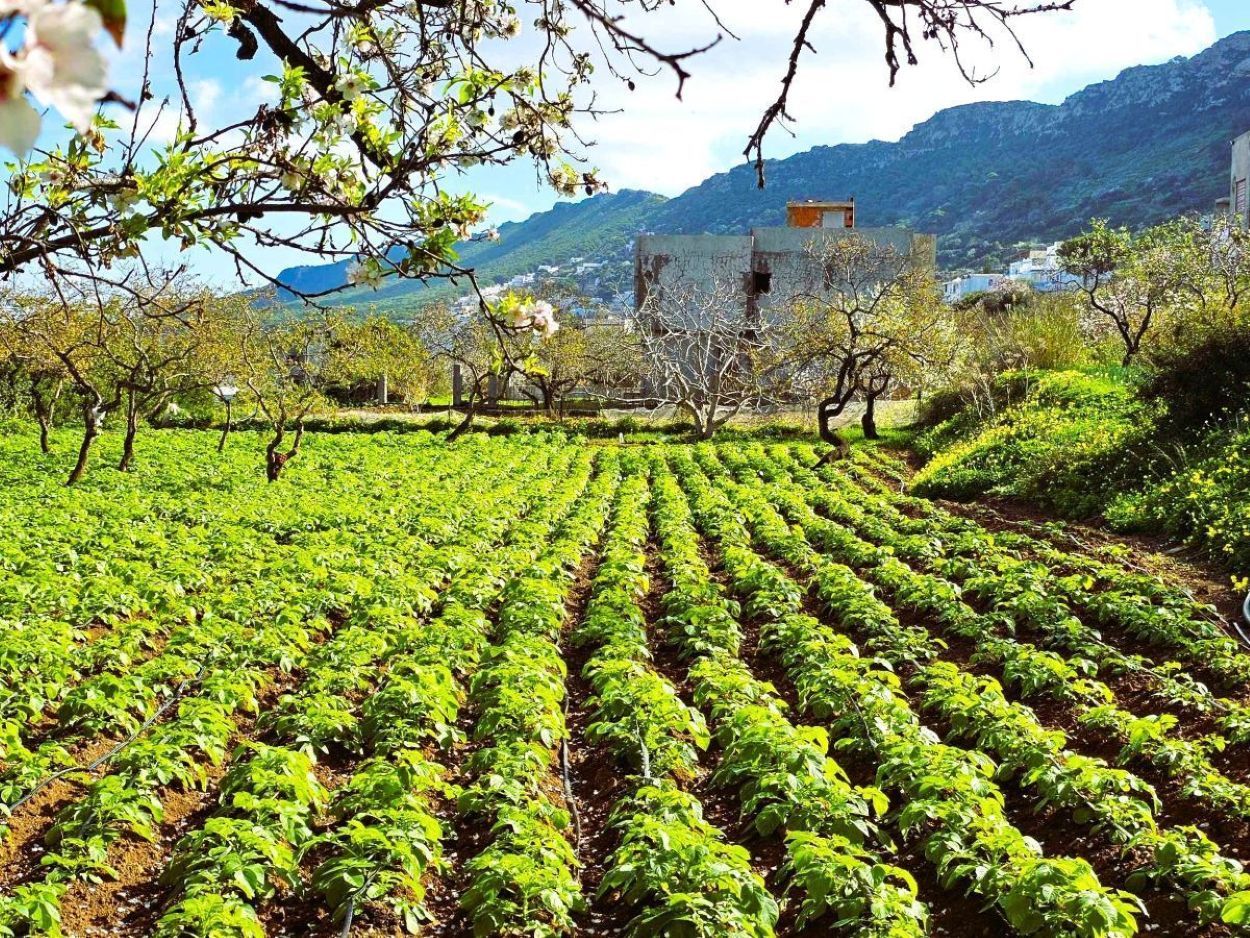 Ras Jebel&nbsp;Rafraf Plage&nbsp;Terrain&nbsp;Terrain nu&nbsp;Terrain 1060 m2 rafraf plage lahmeri