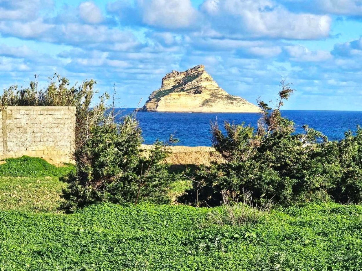 Terrain&nbsp;Terrain nu