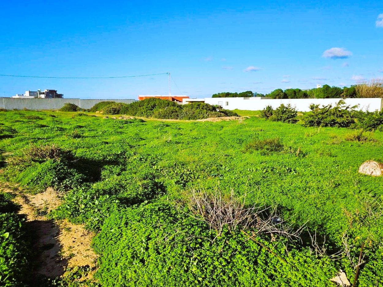 Ras Jebel&nbsp;Rafraf Plage&nbsp;Terrain&nbsp;Terrain nu&nbsp;Terrain 1050 m2 rafraf plage ain mestir