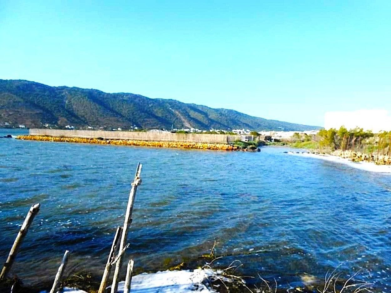 Ghar El Melh&nbsp;Ghar El Melh&nbsp;Vente&nbsp;Maisons&nbsp;Villa front mer ghar el melh