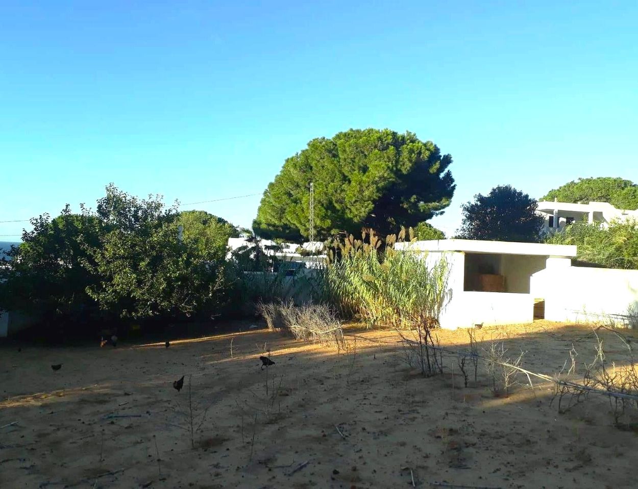 Ras Jebel Rafraf Plage Terrain Terrain nu Terrain 200 m2 a rafraf plage lahmeri