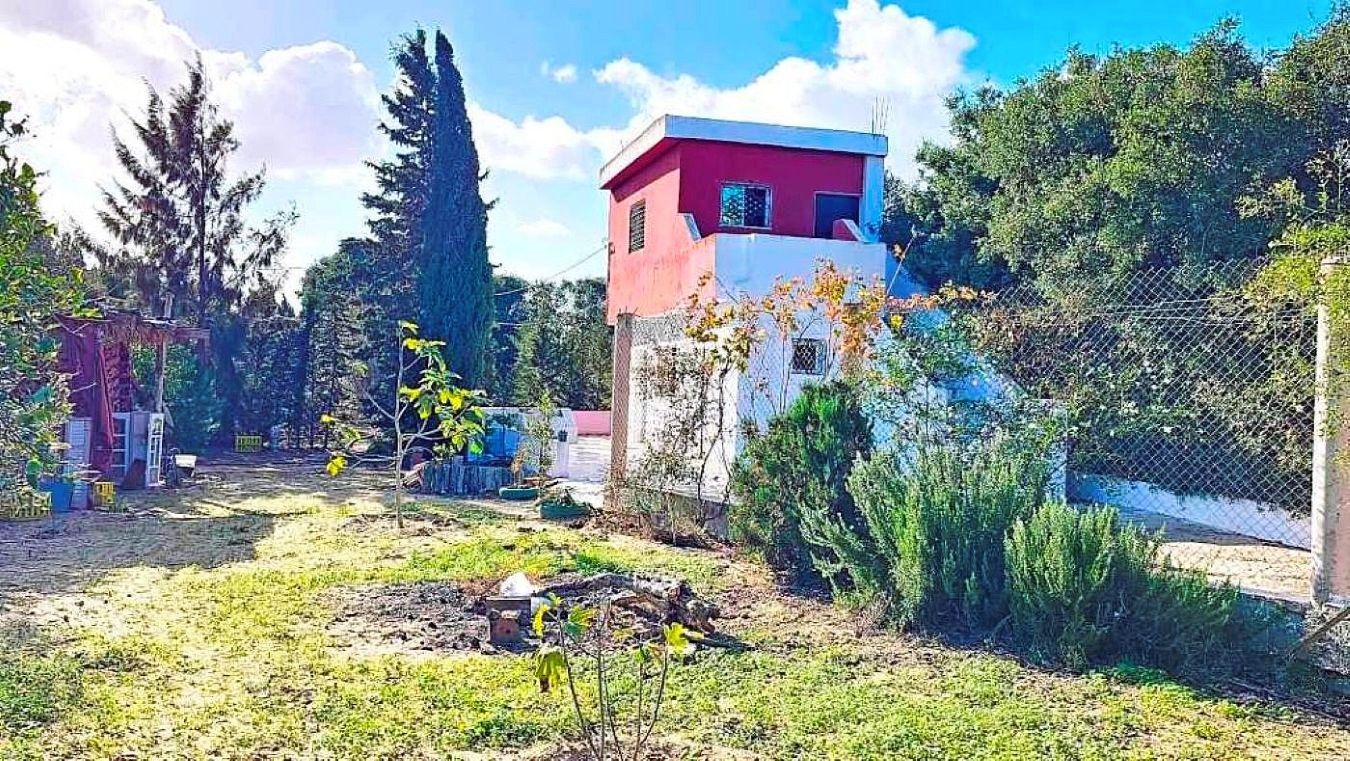 Ras Jebel Rafraf Terrain Terrain agricole Terrain 3700 m2 a sounine rafraf
