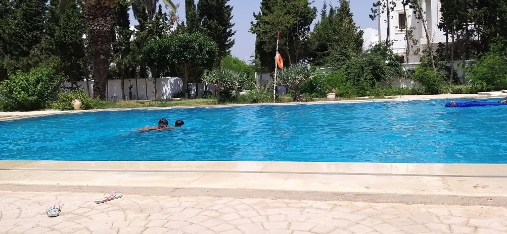 Hammamet Zone Hoteliere Location vacances Appart. 2 pices Duplex s2 a yasmine hammamet