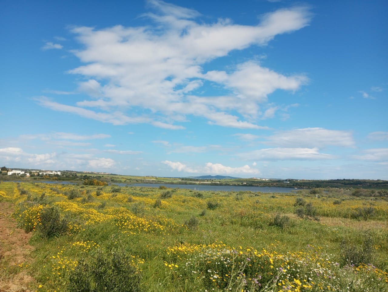 Hammamet Hammamet Terrain Terrain agricole Av 4000m  hammamet sud