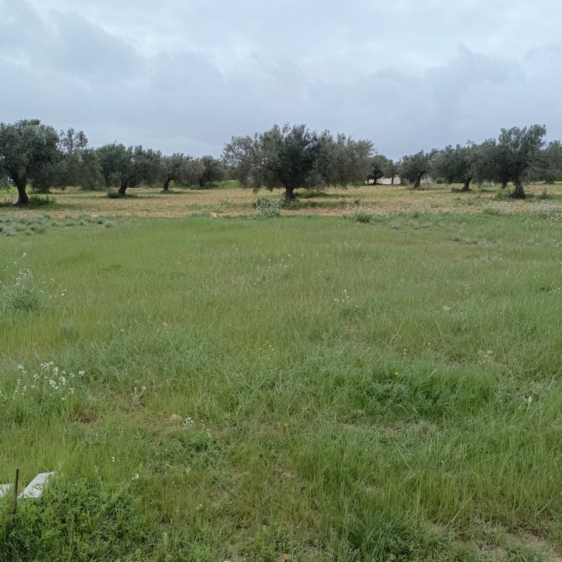 Terrain Terrain nu