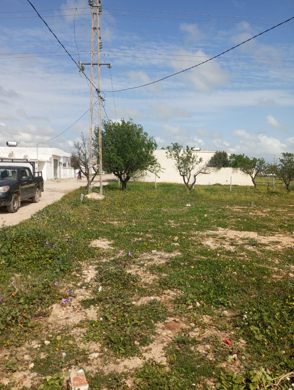 Terrain&nbsp;Terrain nu