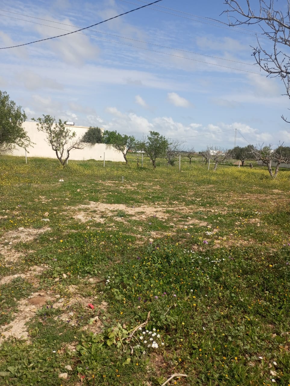 Terrain&nbsp;Terrain nu