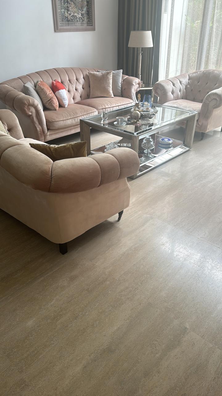 Salon - Salle  manger  Salons