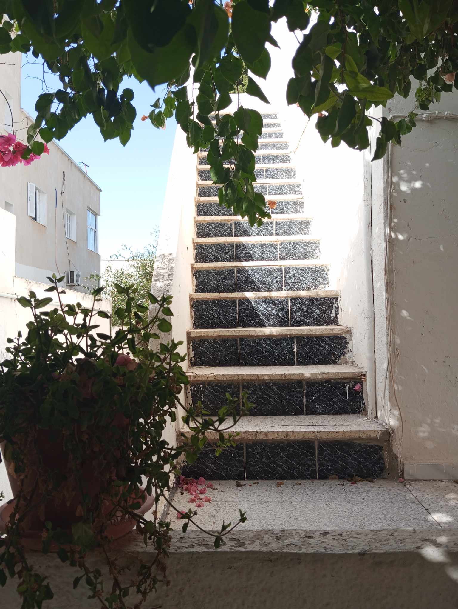 Vente Maisons