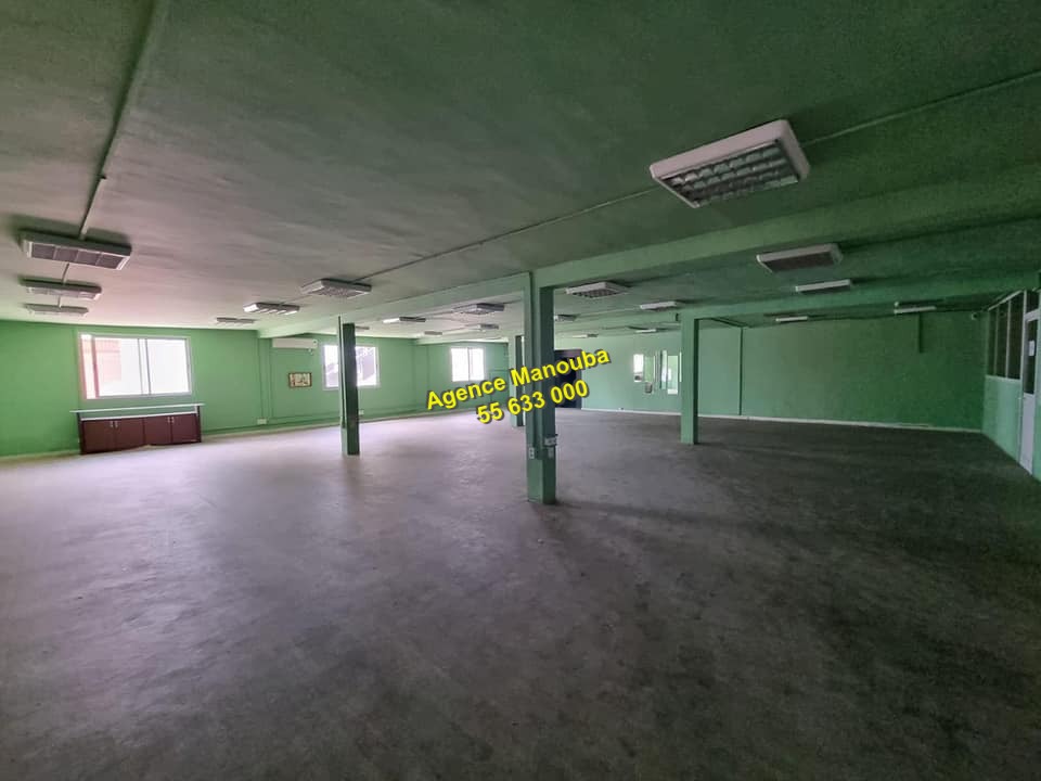Location Surfaces