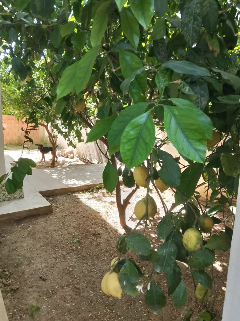 El Mourouj El Mourouj Vente Maisons Maison au mourouj 2