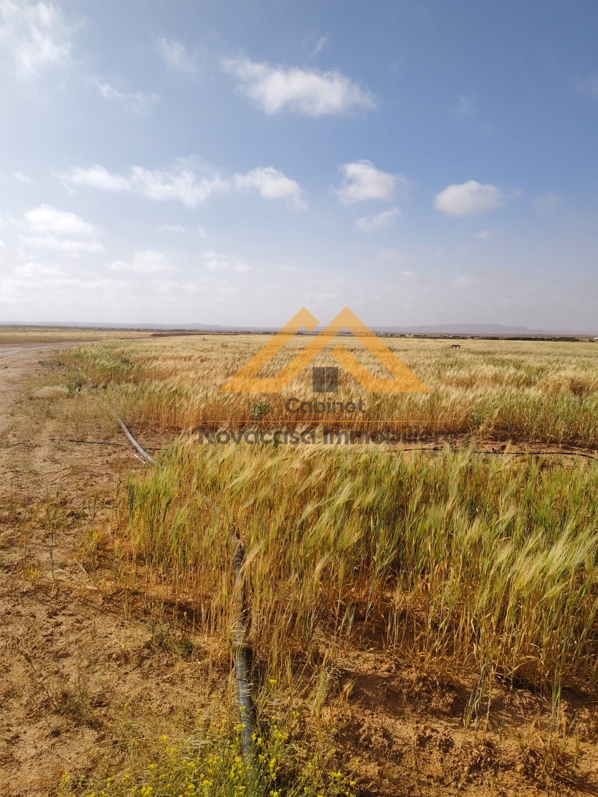 Sfax Est Cite El Habib Terrain Terrain agricole Henchir agricole  sbih menzel lahbib