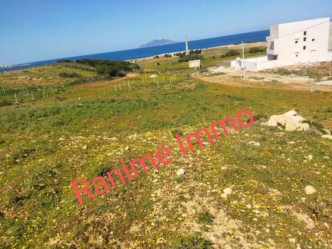 El Haouaria Cite Touristique Terrain Terrain nu Terrain de 1520m2 a la mer el haouaria