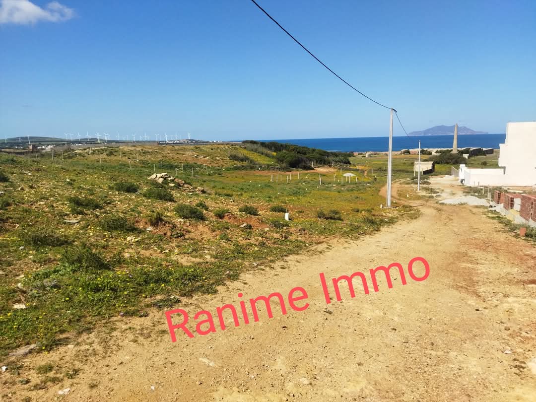 El Haouaria Cite Touristique Terrain Terrain nu Terrain de 1520m2 a la mer el haouaria