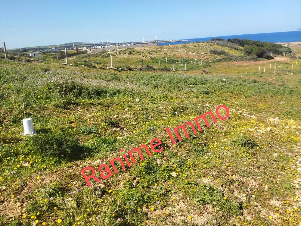 El Haouaria Cite Touristique Terrain Terrain nu Terrain de 1520m2 a la mer el haouaria