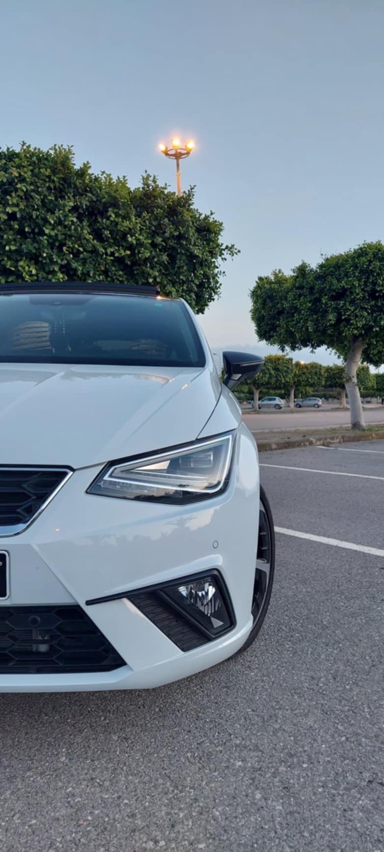 Seat Ibiza