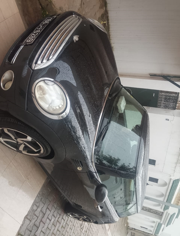 Mini Mini