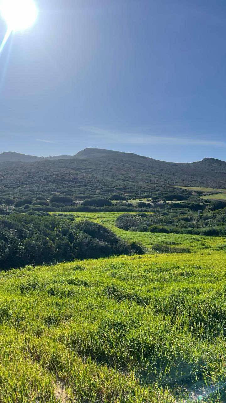 Bizerte Sud Teskraya Vente Surfaces Terrain a kaf abbad