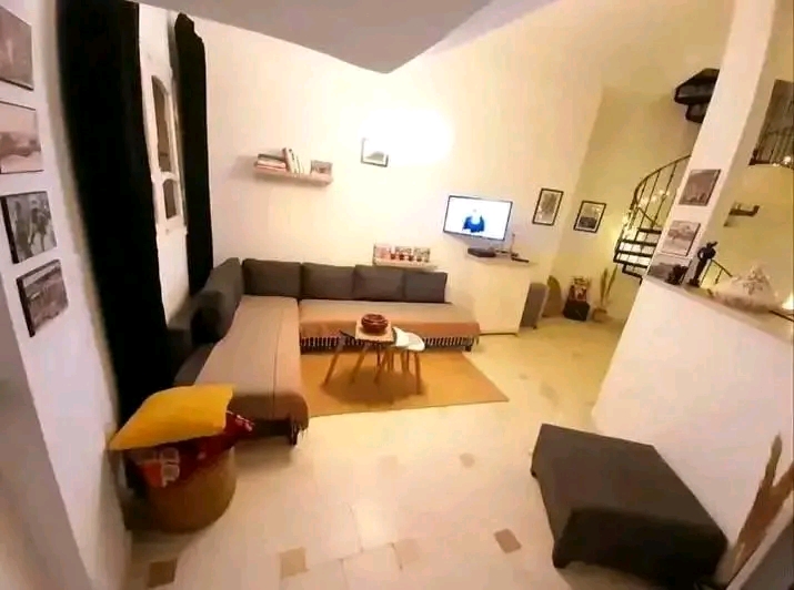 La Marsa Marsa Erriadh Location Appart. 1 pice For rent s1 duplex  meubl