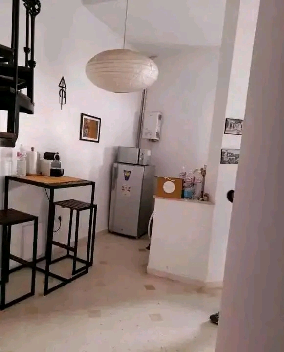La Marsa Marsa Erriadh Location Appart. 1 pice For rent s1 duplex  meubl