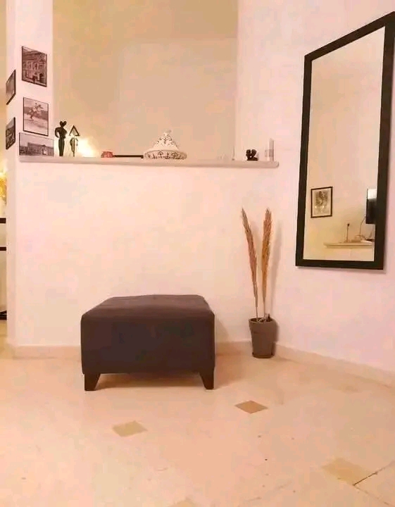 La Marsa Marsa Erriadh Location Appart. 1 pice For rent s1 duplex  meubl