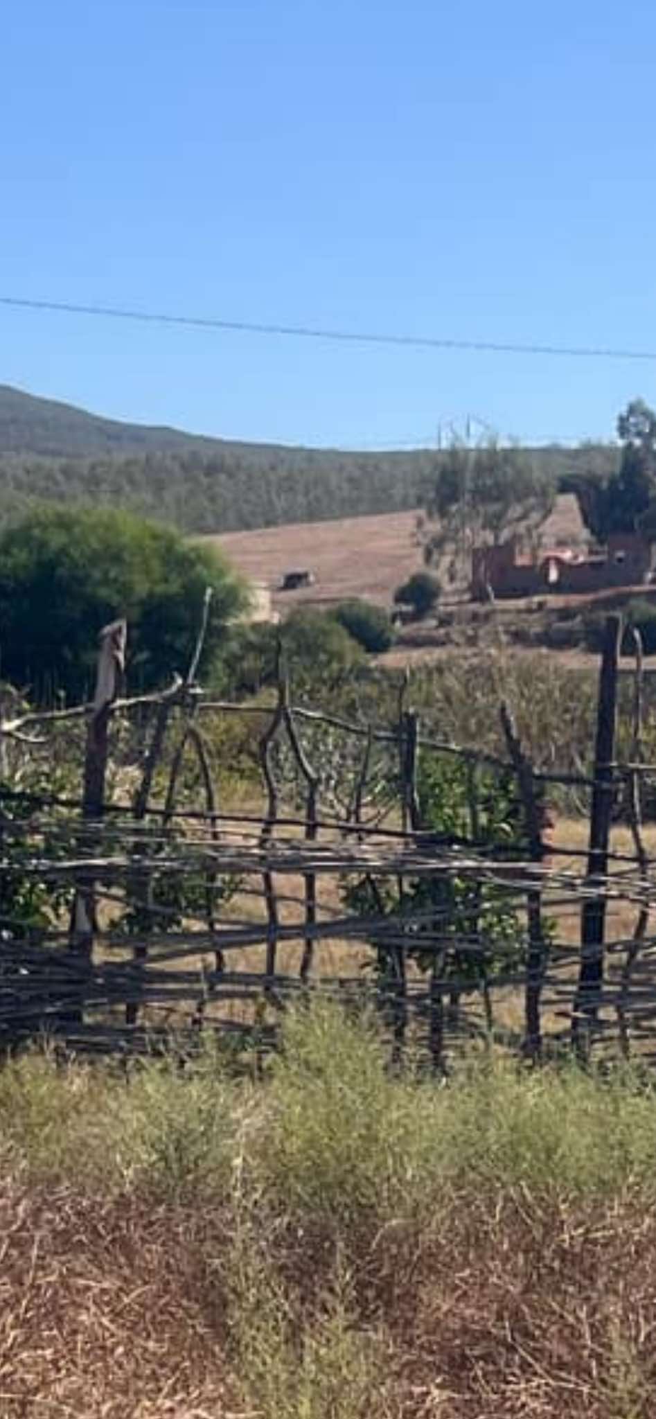 Terrain Terrain agricole