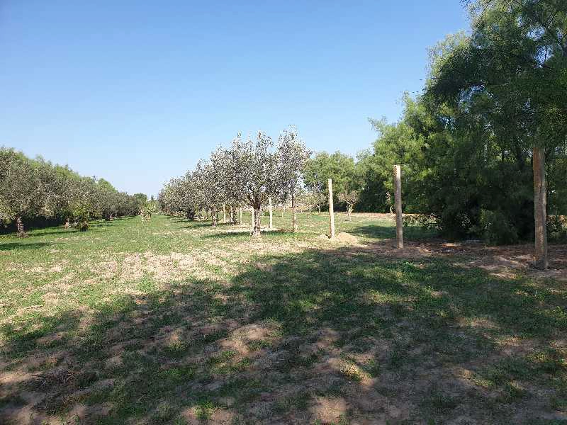 Terrain Terrain agricole