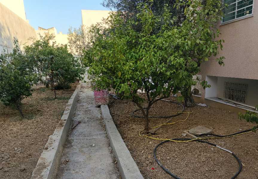 Location Maisons