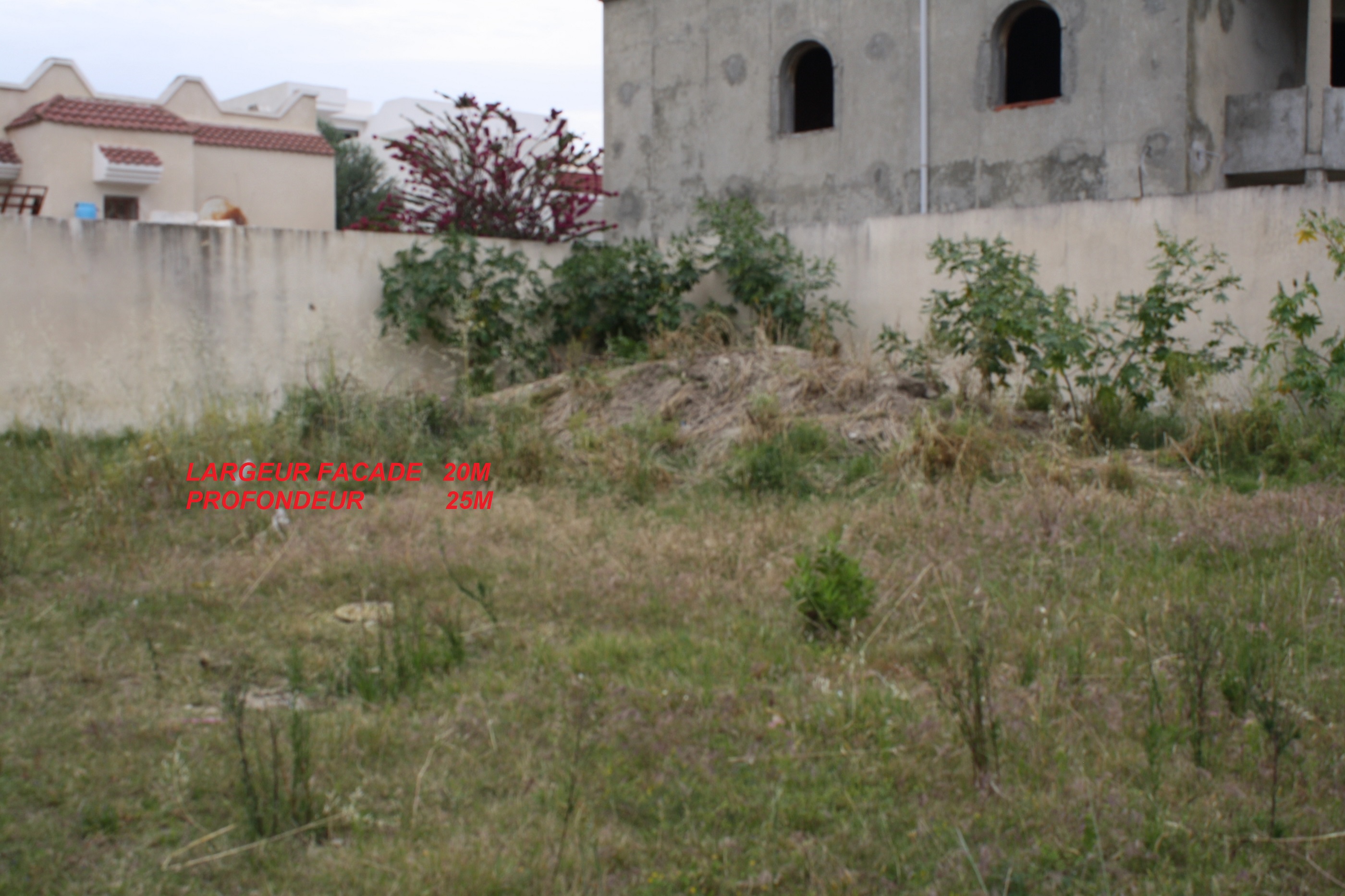 Hammam Chatt Hammam Chatt Terrain Terrain nu Gps  terrain nu titr