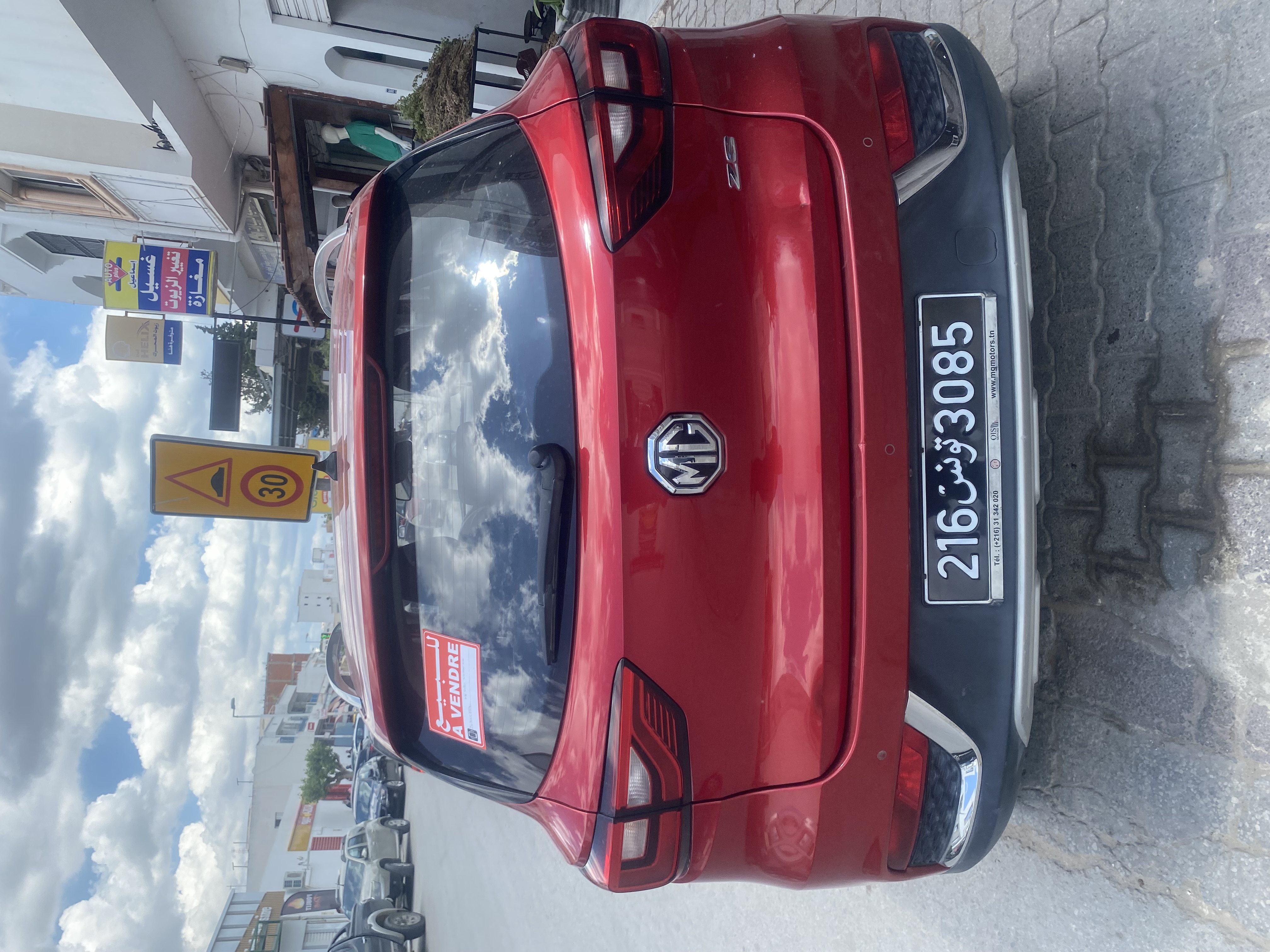 Mg ZS