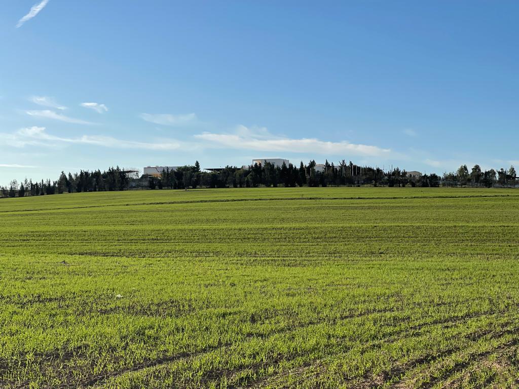 Bir Mcherga&nbsp;Jebel El Oust&nbsp;Terrain&nbsp;Terrain agricole&nbsp;Formidable super ferme 13h