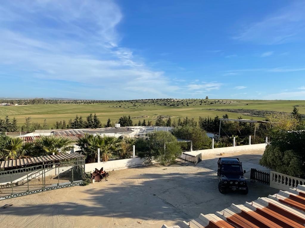 Bir Mcherga&nbsp;Jebel El Oust&nbsp;Terrain&nbsp;Terrain agricole&nbsp;Formidable super ferme 13h