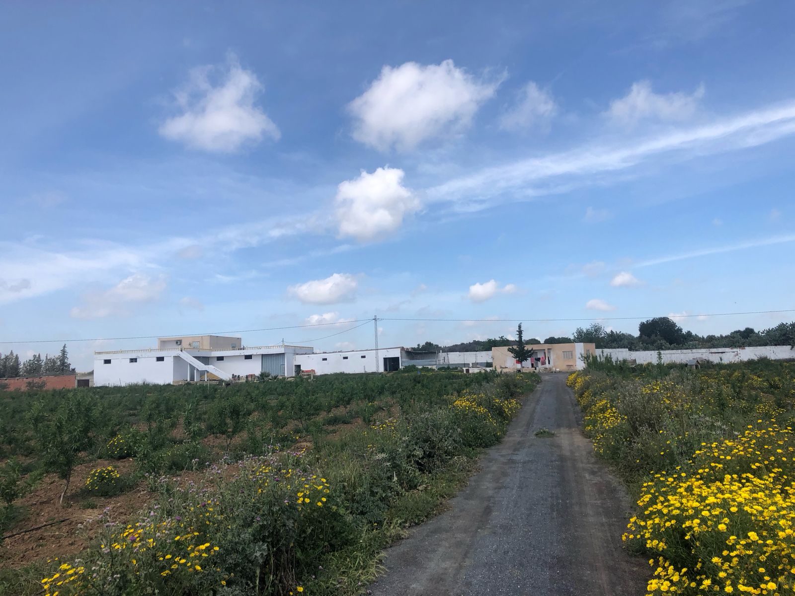 Terrain Terrain agricole