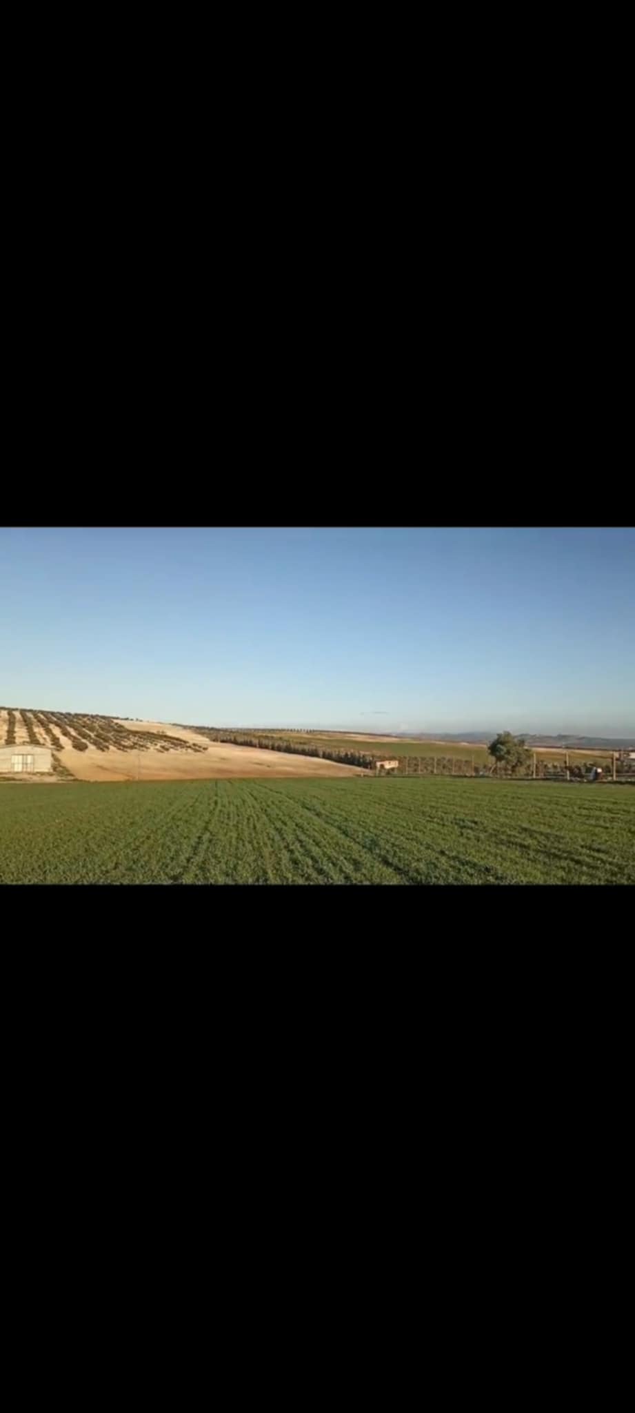 Terrain Terrain agricole