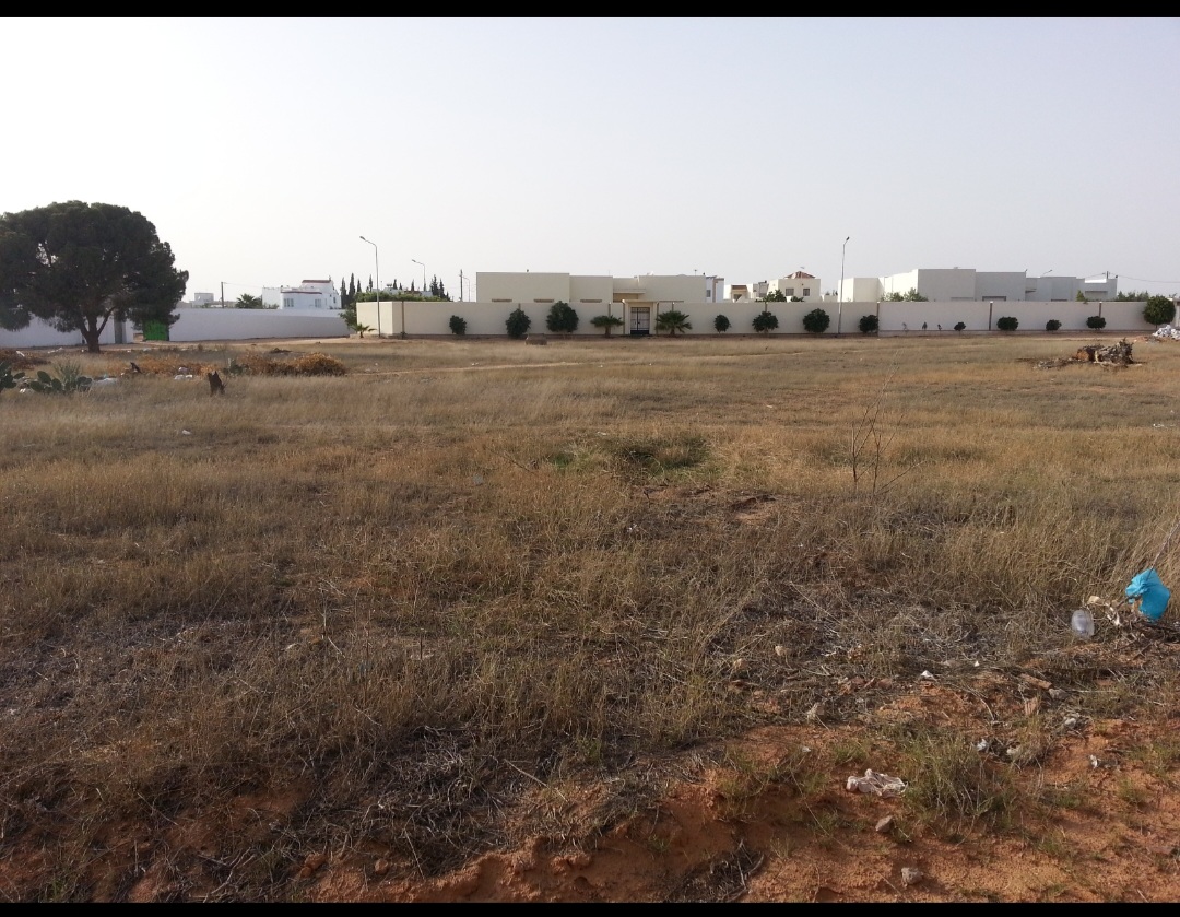 Terrain Terrain nu