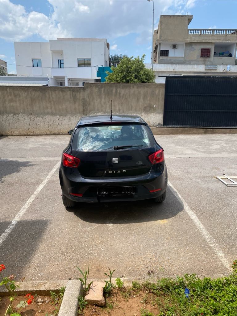 Seat Ibiza