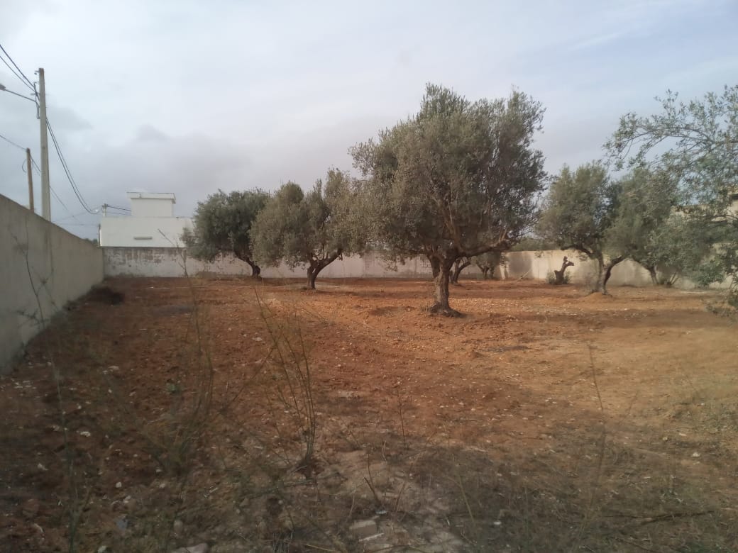 Raoued Borj Touil Terrain Terrain nu Borj touil vnt ter 707m2