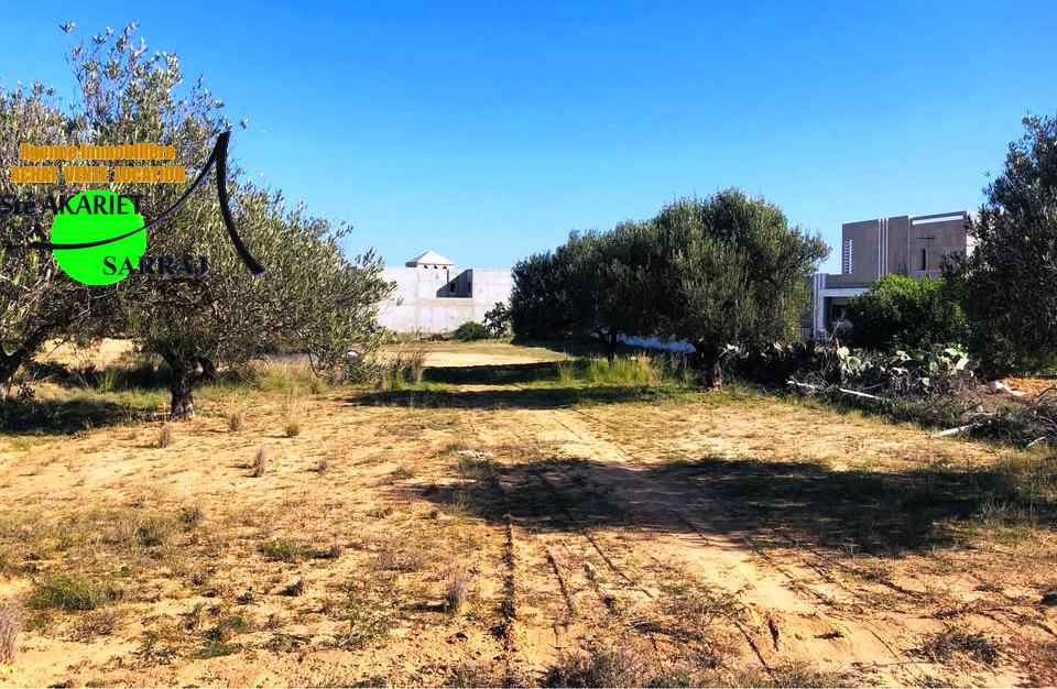 Terrain&nbsp;Terrain agricole