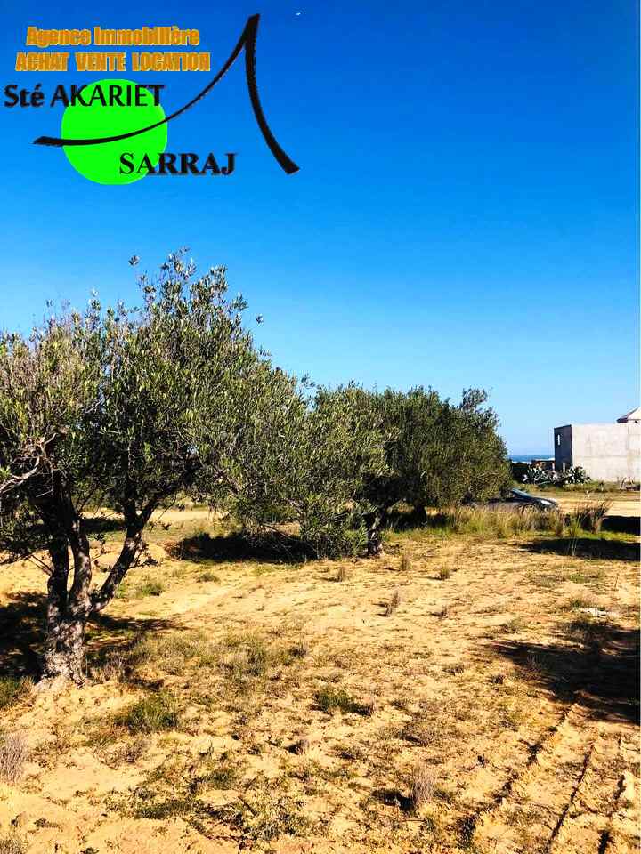 Akouda&nbsp;Chatt Meriem&nbsp;Terrain&nbsp;Terrain agricole&nbsp;Terrain 406m vue de mer � koussour gharnata